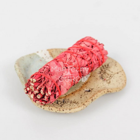 Blutbündel des asiatischen Drachen - Daemonorops draco - Weihrauch