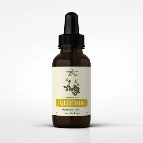 Schöllkraut Große Tinktur 1:1 50 ml - Chelidonium majus - 50ml