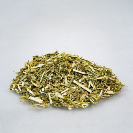 Beinwell - Melilotus officinalis - 100g gehackt