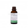 Beinwellöl - 100ml