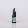 Absinth Essenz - 10ml