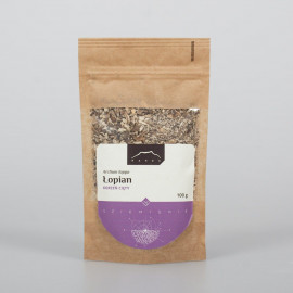 Burdockwurzel – Arctium lappa – 100g gemahlen.