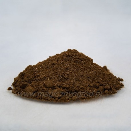 Indische Brennnessel - Coleus forskohlii - 250g gehackt