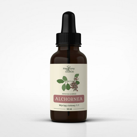 Alchornea cordifolia Tinktur 1:1 - *250ml*