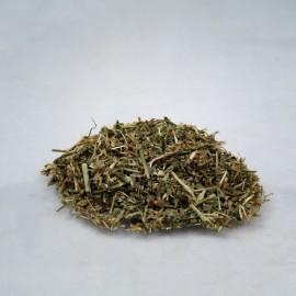 Staudenknöterich - Polygonum aviculare - 1kg gehackt