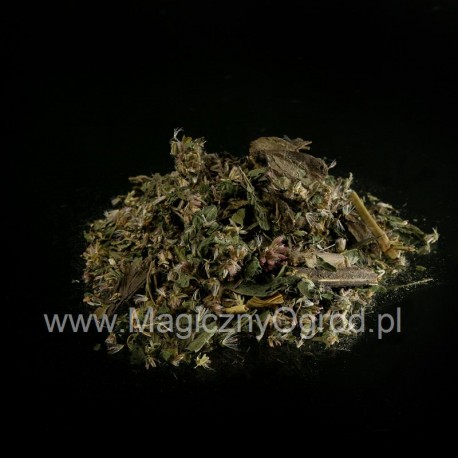 Lila Hanf - Eupatorium purpureum - 50g gehackt