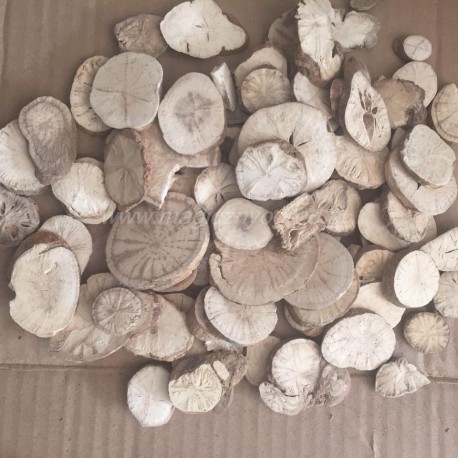 Stephania tetrandra Wurzel - 50g gemahlen