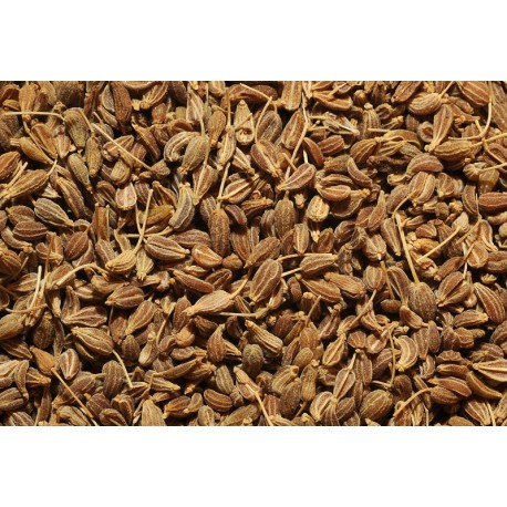 Anis - Pimpinella anisum - 100g ganz