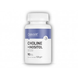 Cholin + Inositol 90 Tabletten