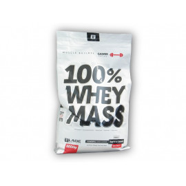 BS Blade 100% Whey Mass Gainer 6000g - Kokosnuss