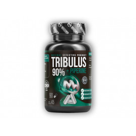 TT MAXX 90% + Piperin 90 Kapseln