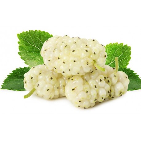 Weiße Maulbeerfrucht - Morus alba - 100g ganz