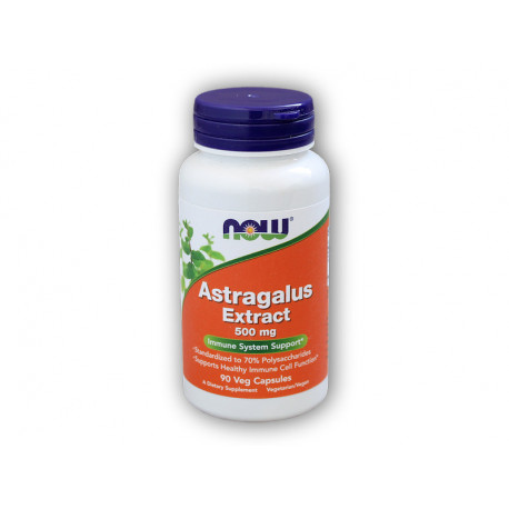 Astragalus Extrakt (Astragalus) 500mg 90 Kapseln